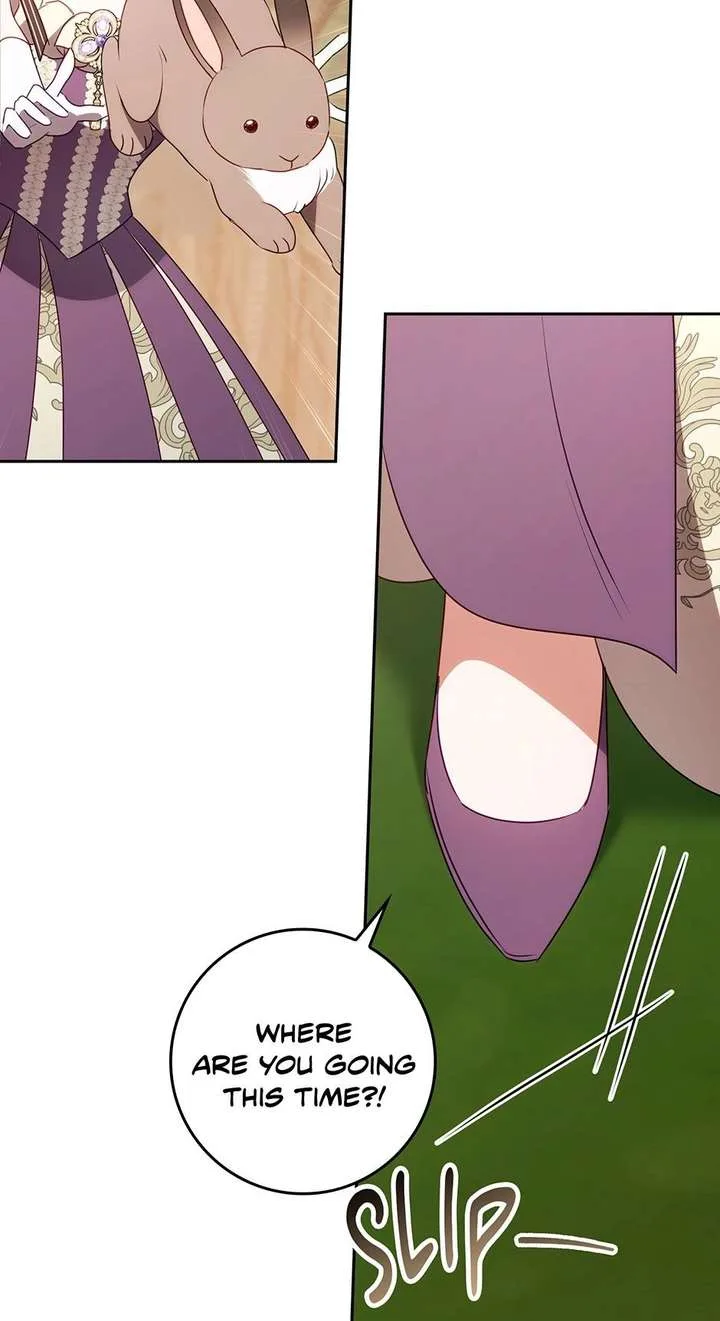The secrets of the lovely duchess Chapter 75 page 37