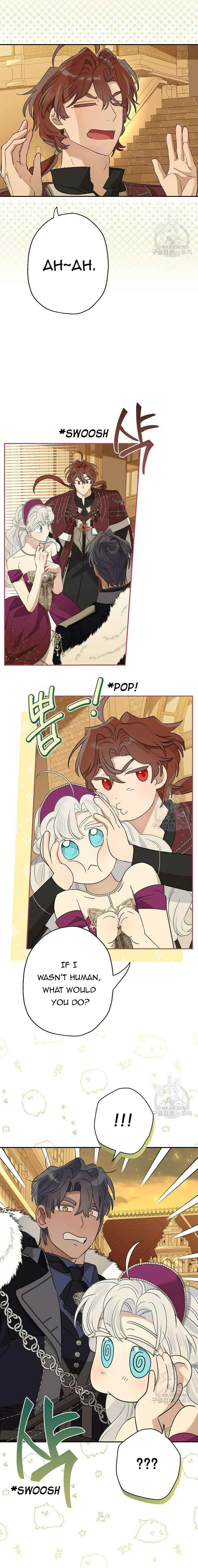 When The Count’s Illegitimate Daughter Gets Married Chapter 78 page 3