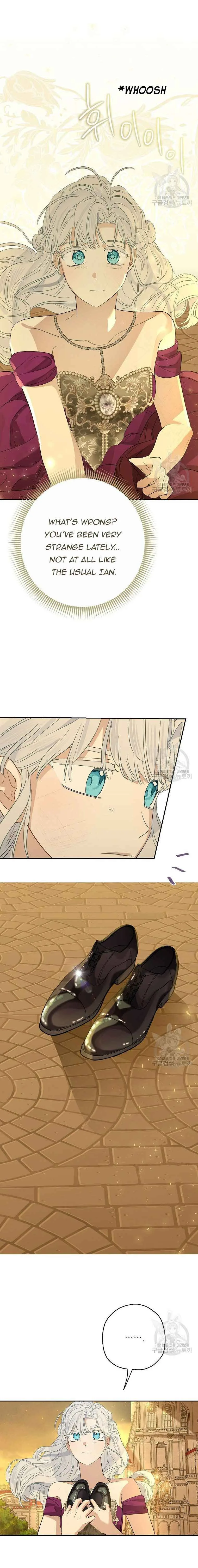 When The Count’s Illegitimate Daughter Gets Married Chapter 78 page 17