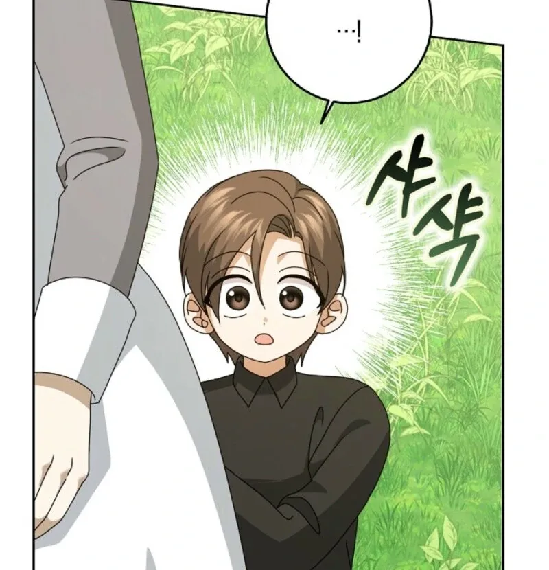 The Lost Cinderella Chapter 78 page 31