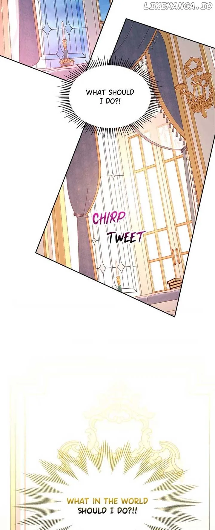 The Duchess’s Secret Dressing Room Chapter 78 page 67