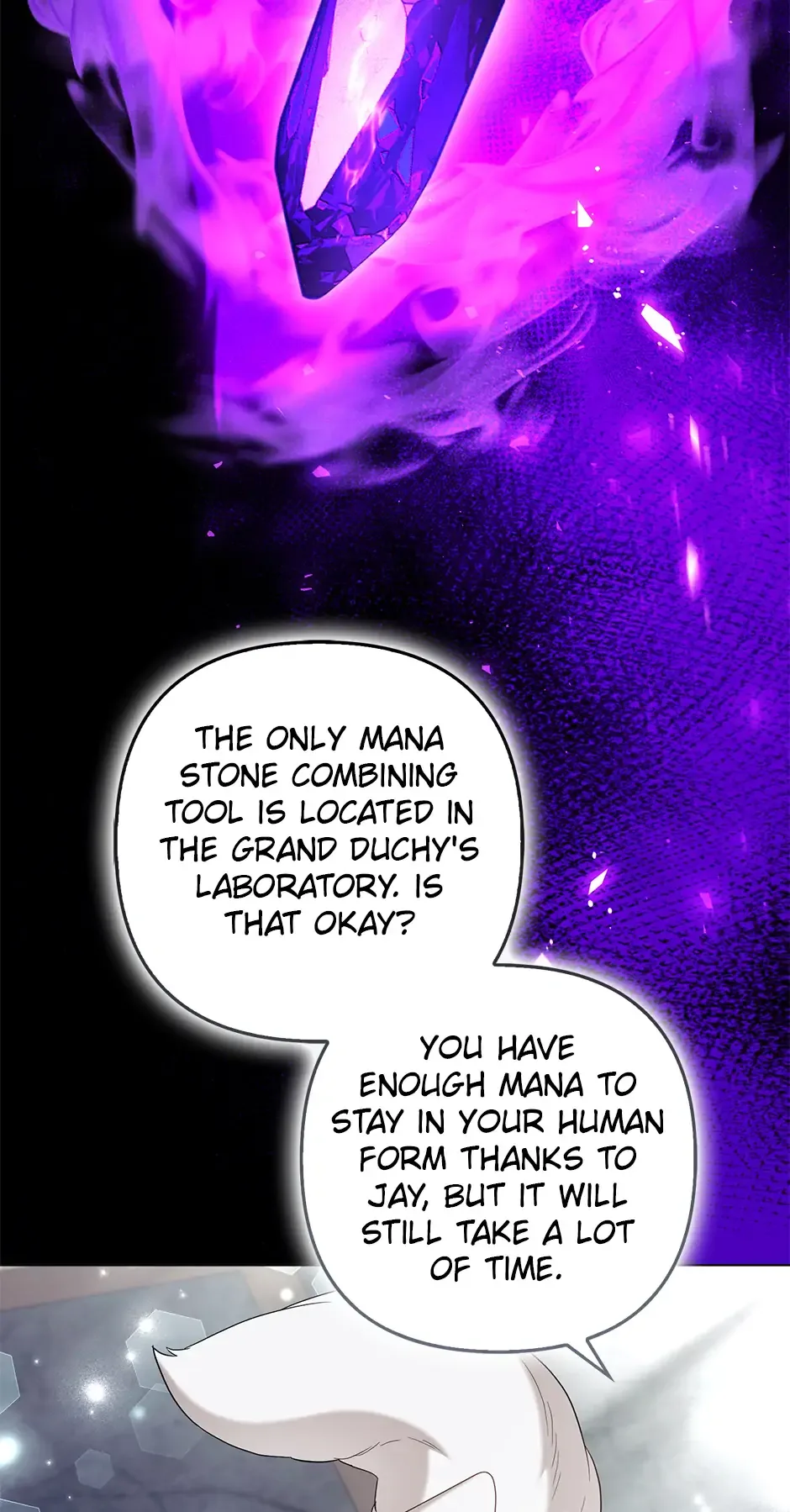 The Duke and The Fox Princess Chapter 81 page 9