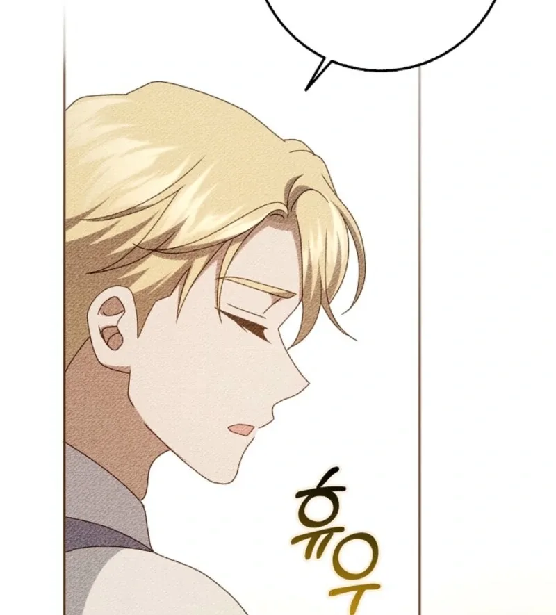 The Lost Cinderella Chapter 80 page 14