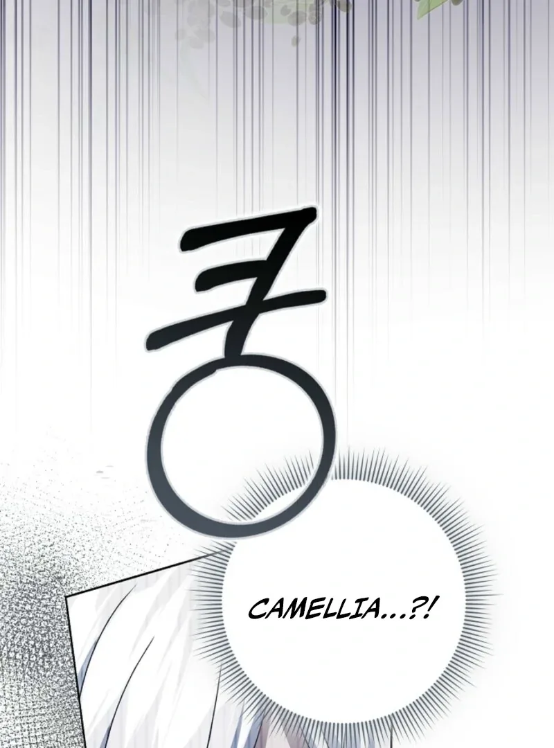 The Lost Cinderella Chapter 80 page 44