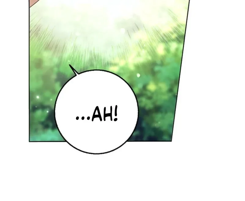 The Lost Cinderella Chapter 82 page 42