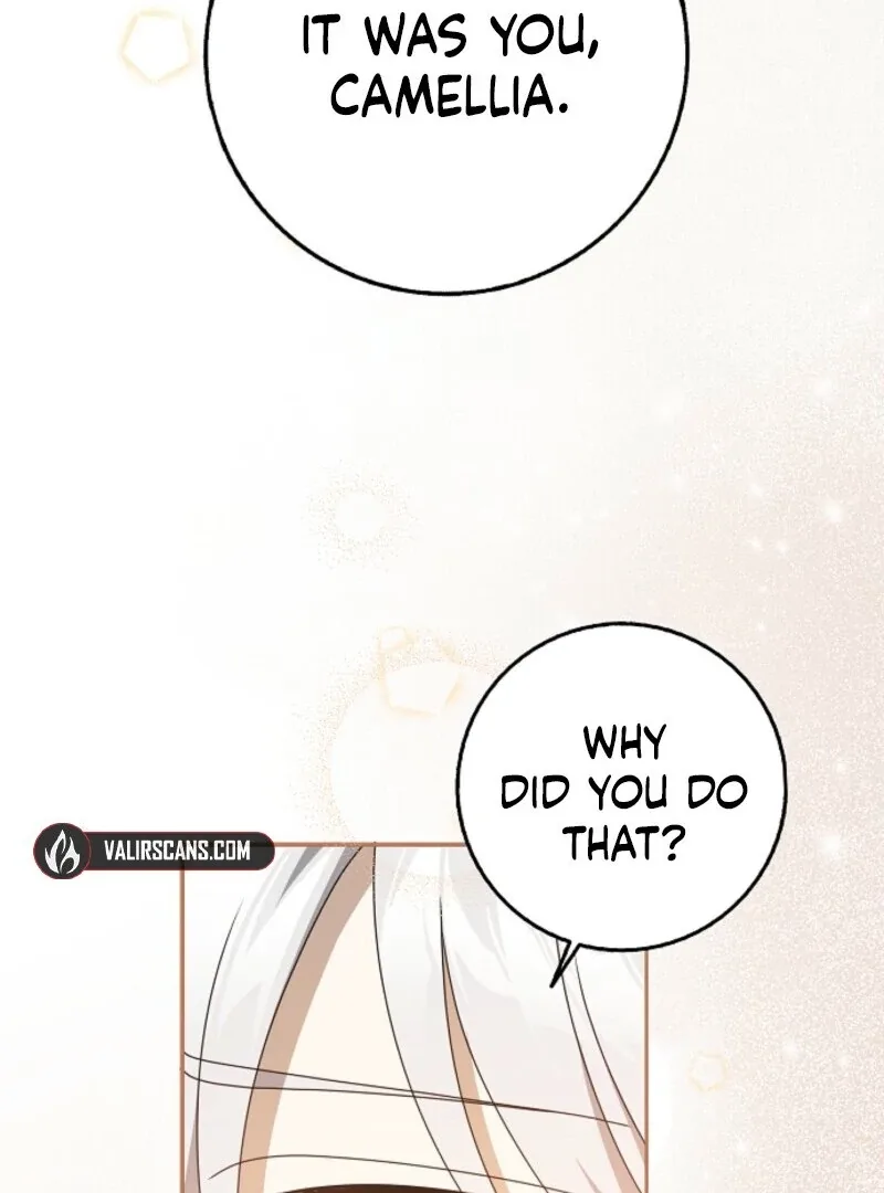 The Lost Cinderella Chapter 83 page 72