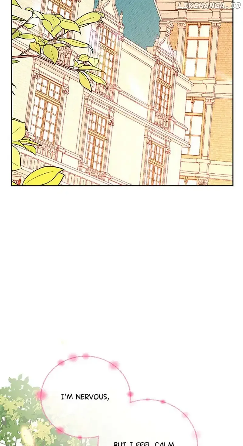 The Duchess’s Secret Dressing Room Chapter 83 page 70