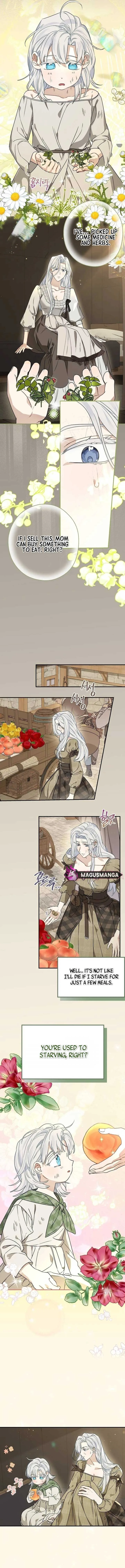 When The Count’s Illegitimate Daughter Gets Married Chapter 88 page 7
