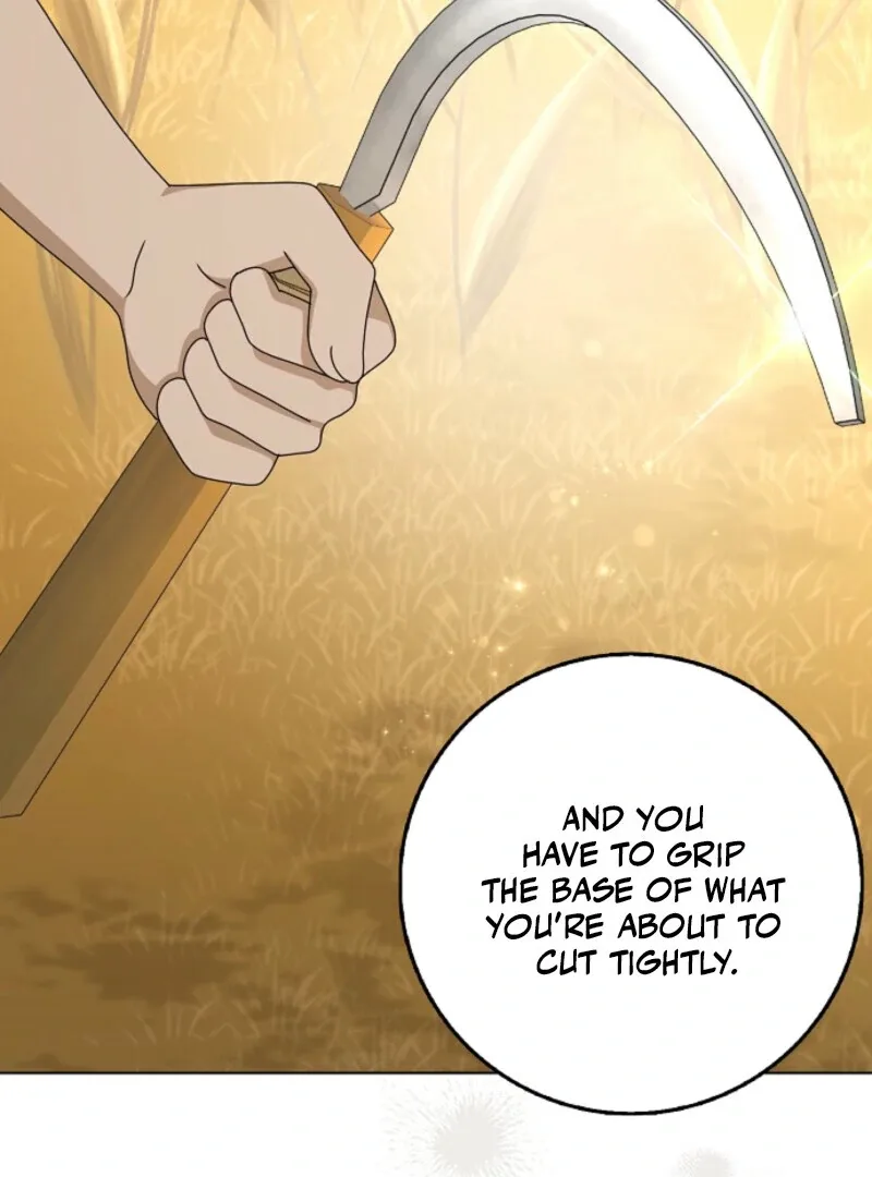 The Lost Cinderella Chapter 87 page 24