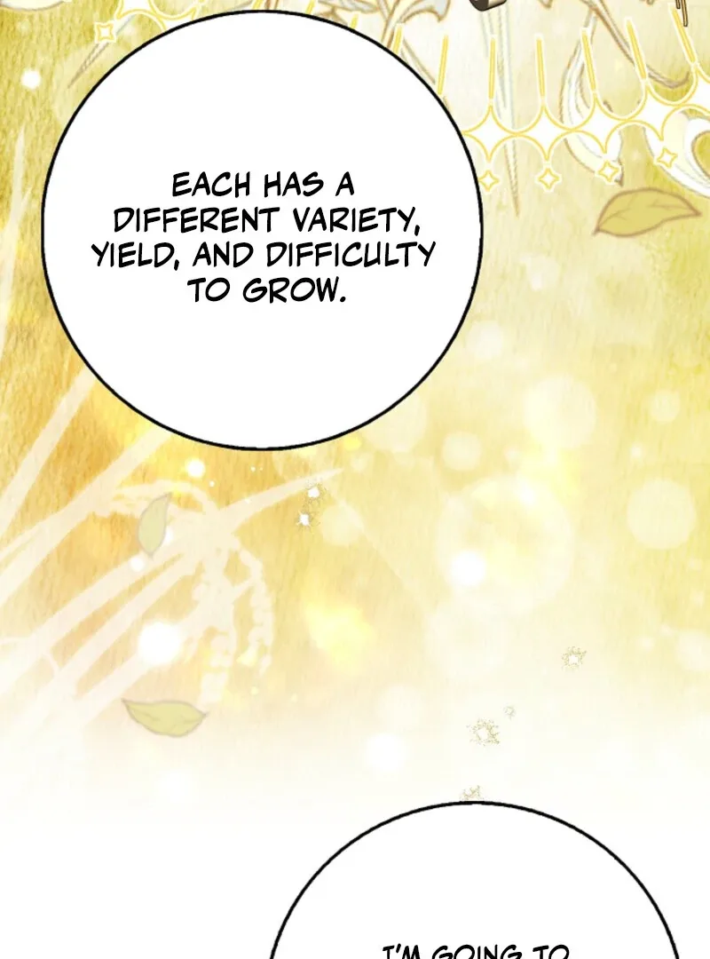 The Lost Cinderella Chapter 87 page 71