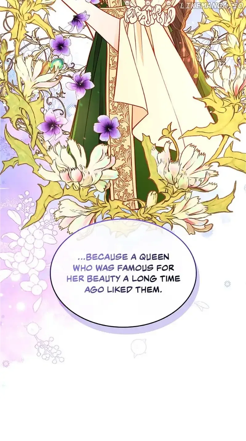 The Duchess’s Secret Dressing Room Chapter 88 page 53