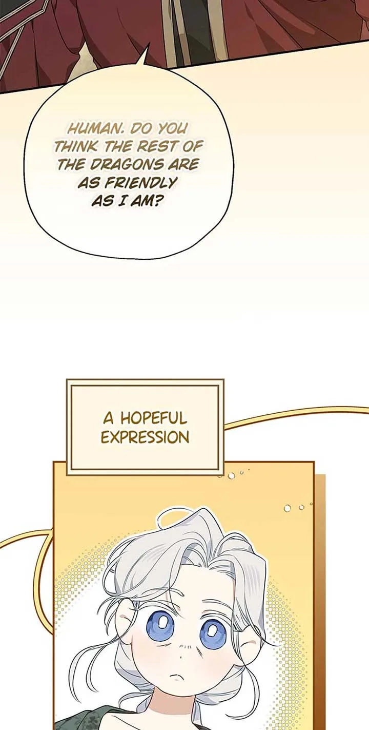 When The Count’s Illegitimate Daughter Gets Married Chapter 92 page 19