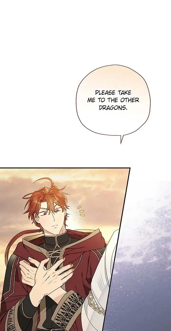 When The Count’s Illegitimate Daughter Gets Married Chapter 93 page 30