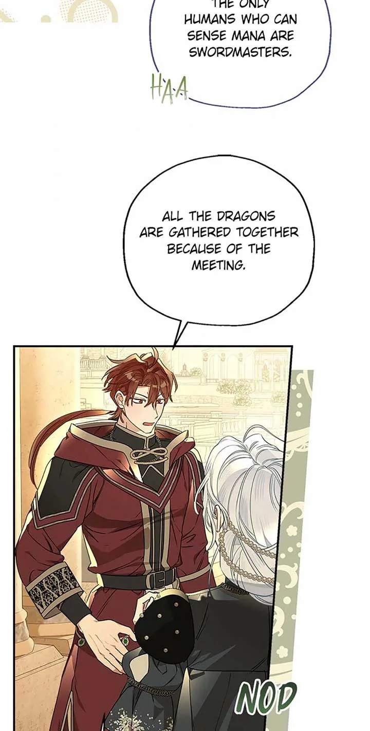 When The Count’s Illegitimate Daughter Gets Married Chapter 93 page 45