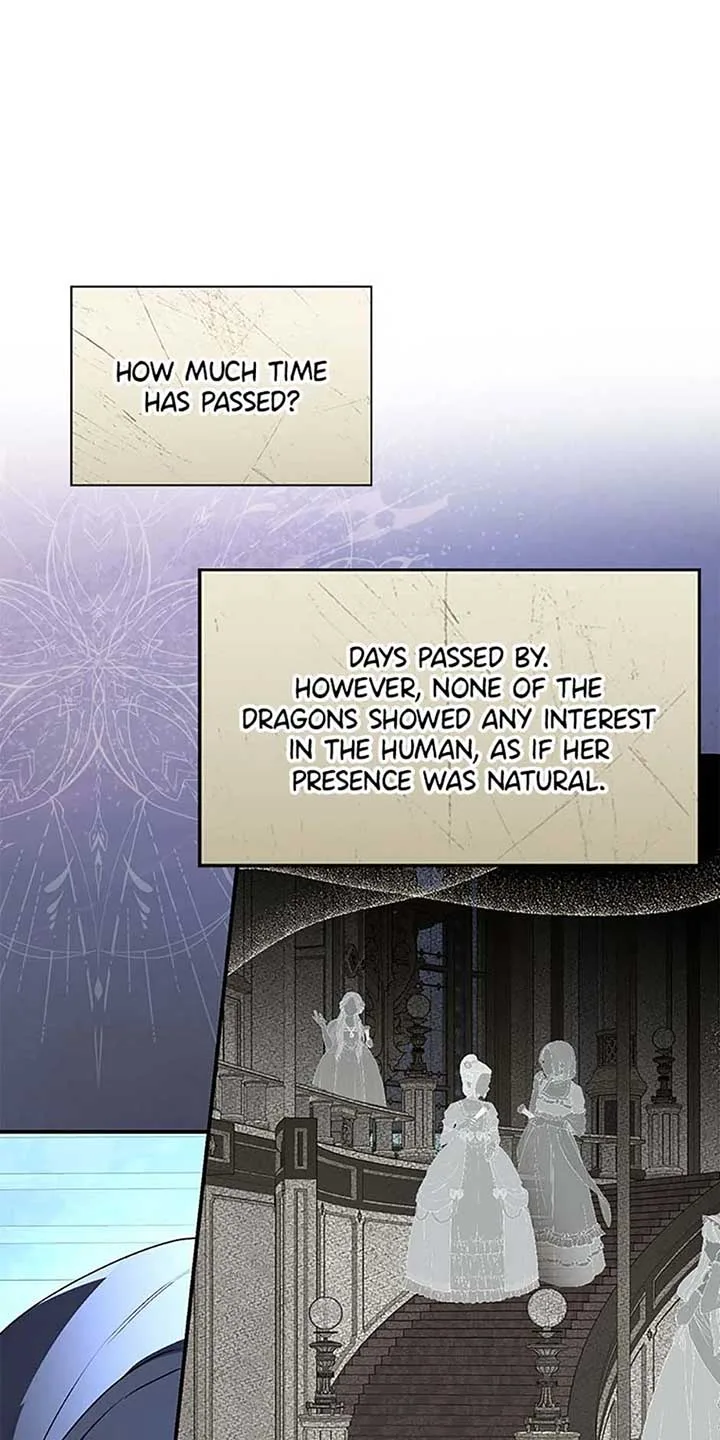 When The Count’s Illegitimate Daughter Gets Married Chapter 94 page 13