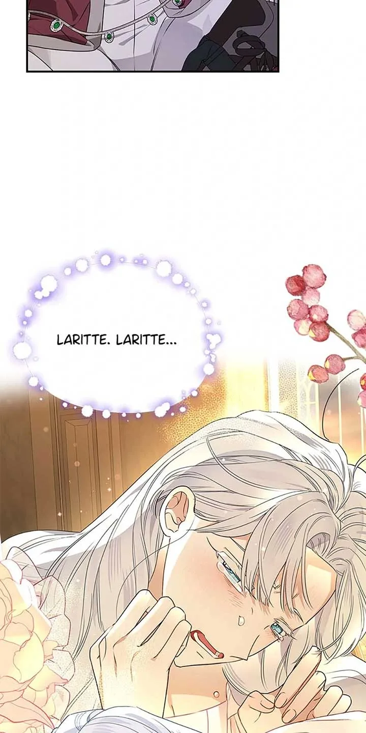 When The Count’s Illegitimate Daughter Gets Married Chapter 94 page 17