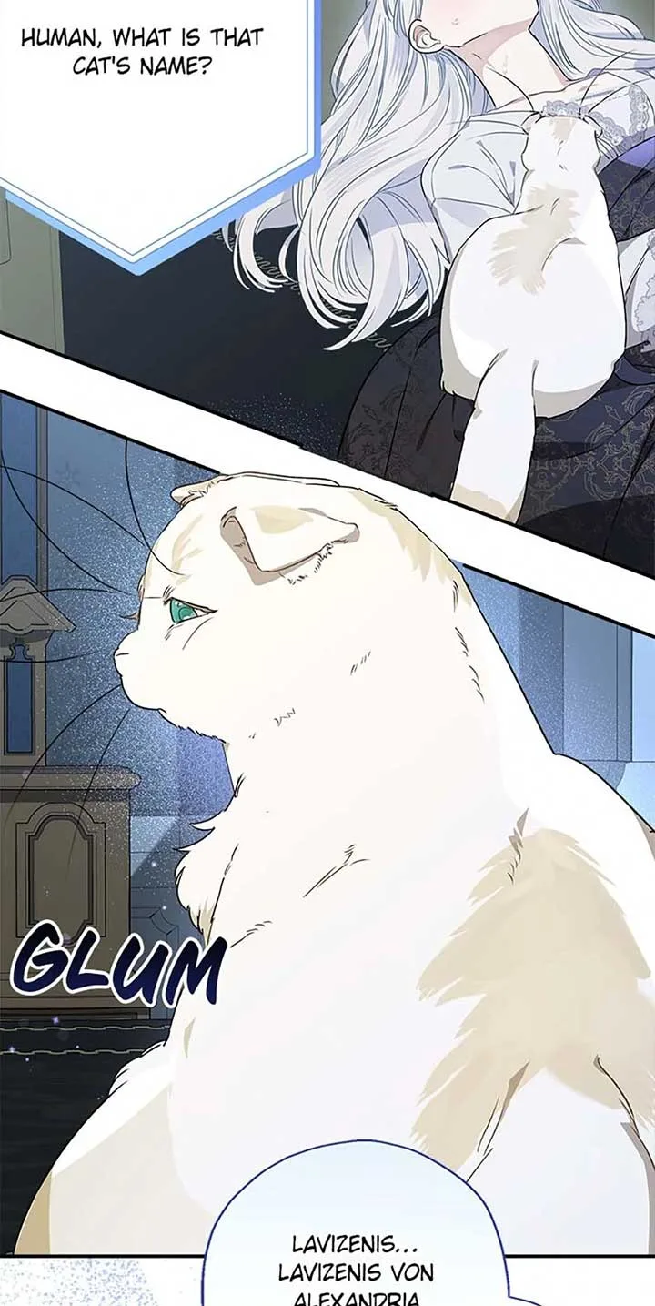 When The Count’s Illegitimate Daughter Gets Married Chapter 94 page 39