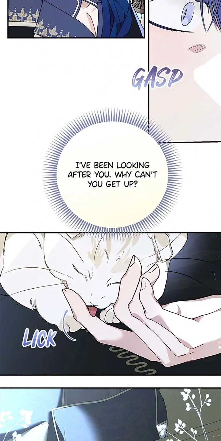 When The Count’s Illegitimate Daughter Gets Married Chapter 94 page 41