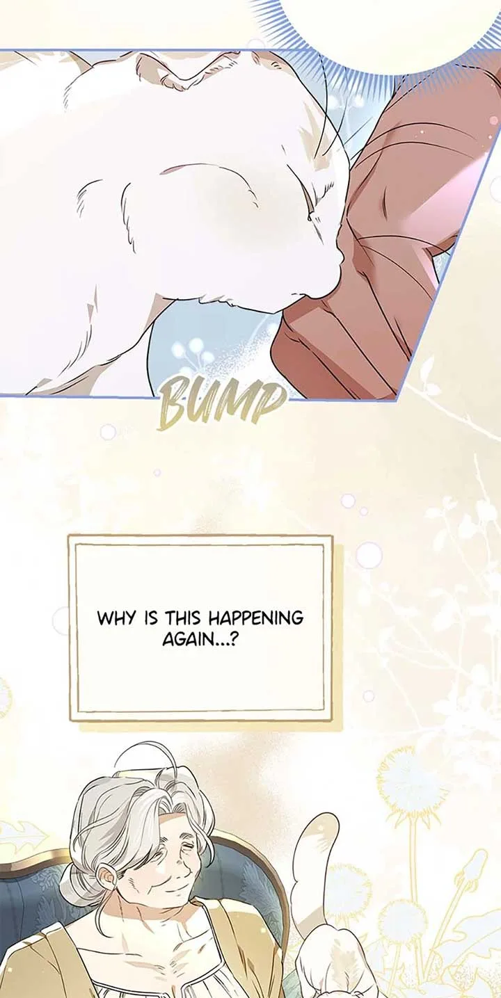 When The Count’s Illegitimate Daughter Gets Married Chapter 94 page 44