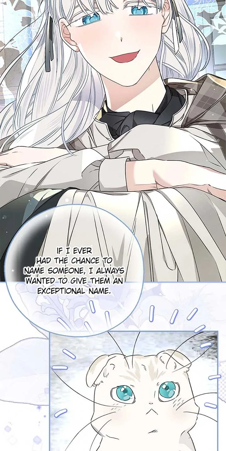 When The Count’s Illegitimate Daughter Gets Married Chapter 94 page 49