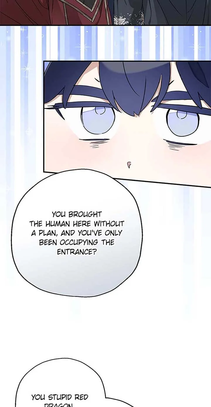 When The Count’s Illegitimate Daughter Gets Married Chapter 94 page 60
