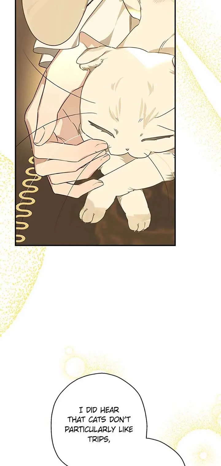 When The Count’s Illegitimate Daughter Gets Married Chapter 95 page 9