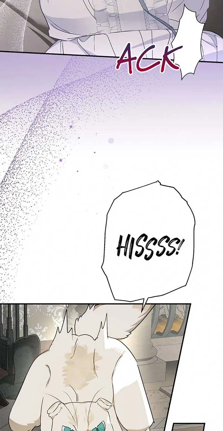 When The Count’s Illegitimate Daughter Gets Married Chapter 95 page 56