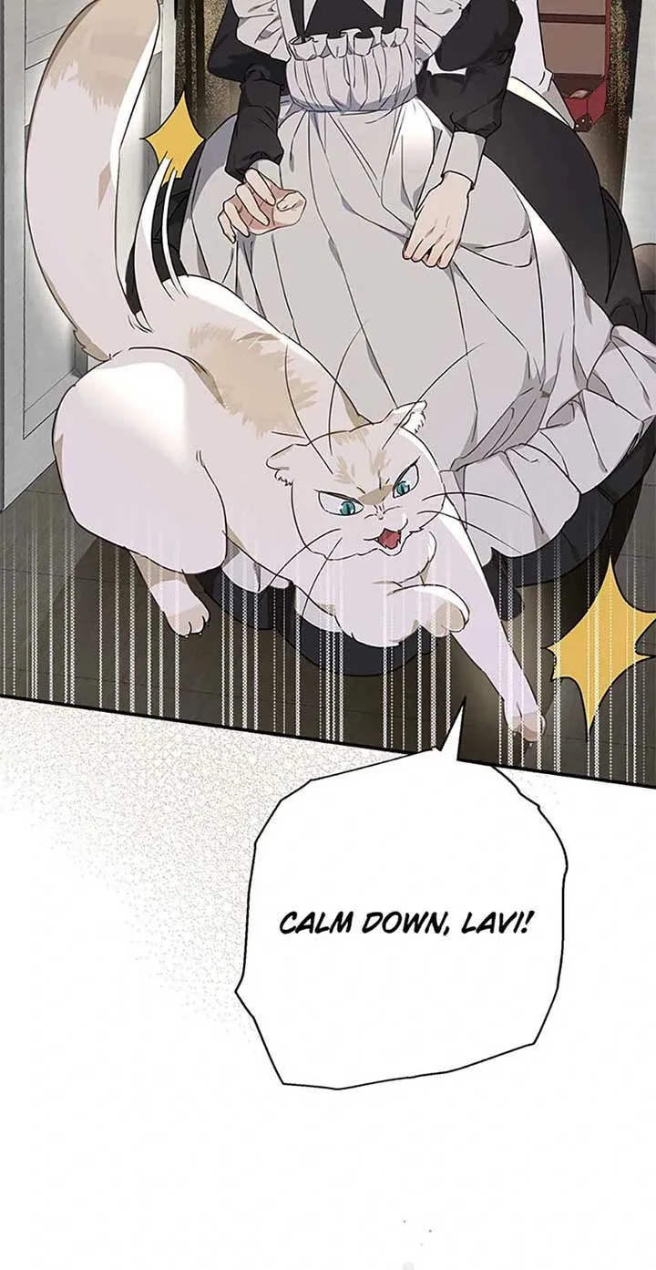 When The Count’s Illegitimate Daughter Gets Married Chapter 95 page 58