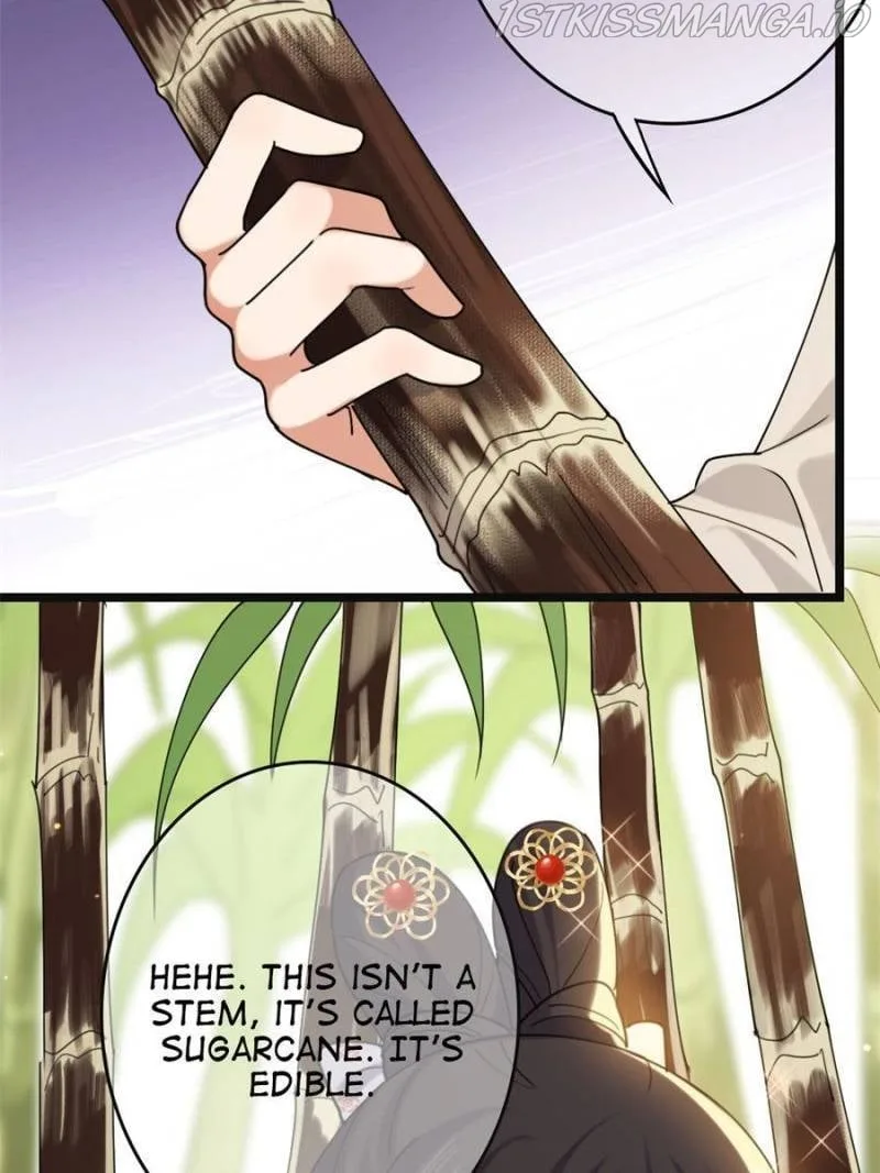The Sickly Tyrant With An Innocent Facade Chapter 98 page 6