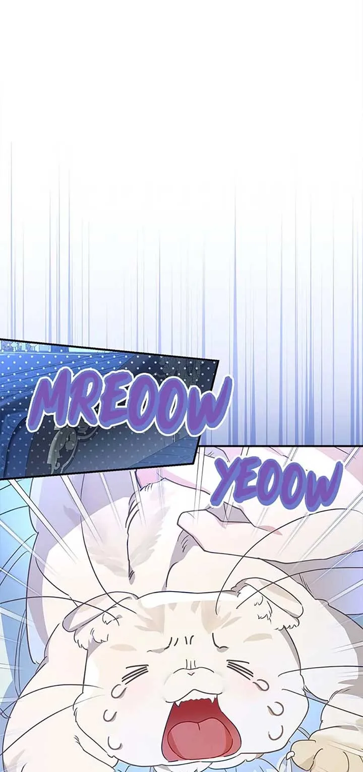 When The Count’s Illegitimate Daughter Gets Married Chapter 99 page 37