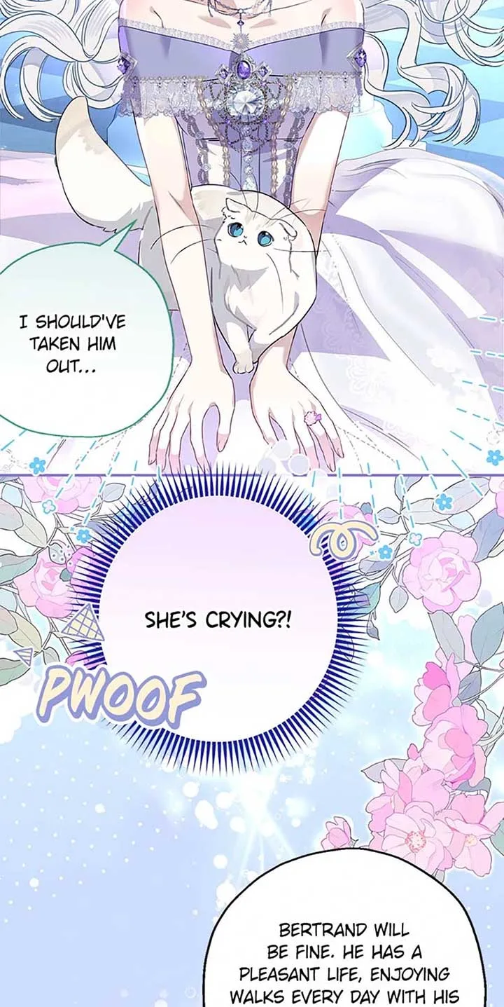 When The Count’s Illegitimate Daughter Gets Married Chapter 102 page 68