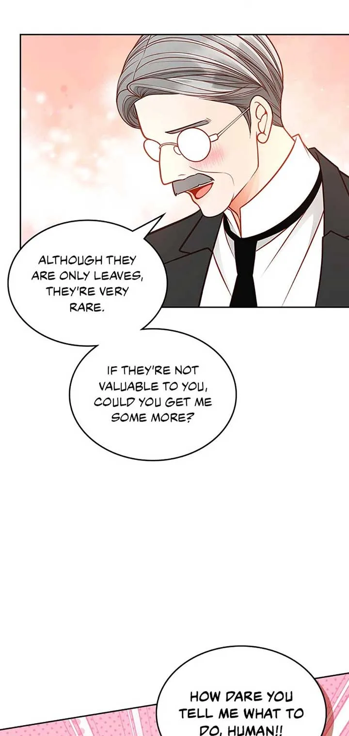 The Duchess’s Secret Dressing Room Chapter 102 page 42