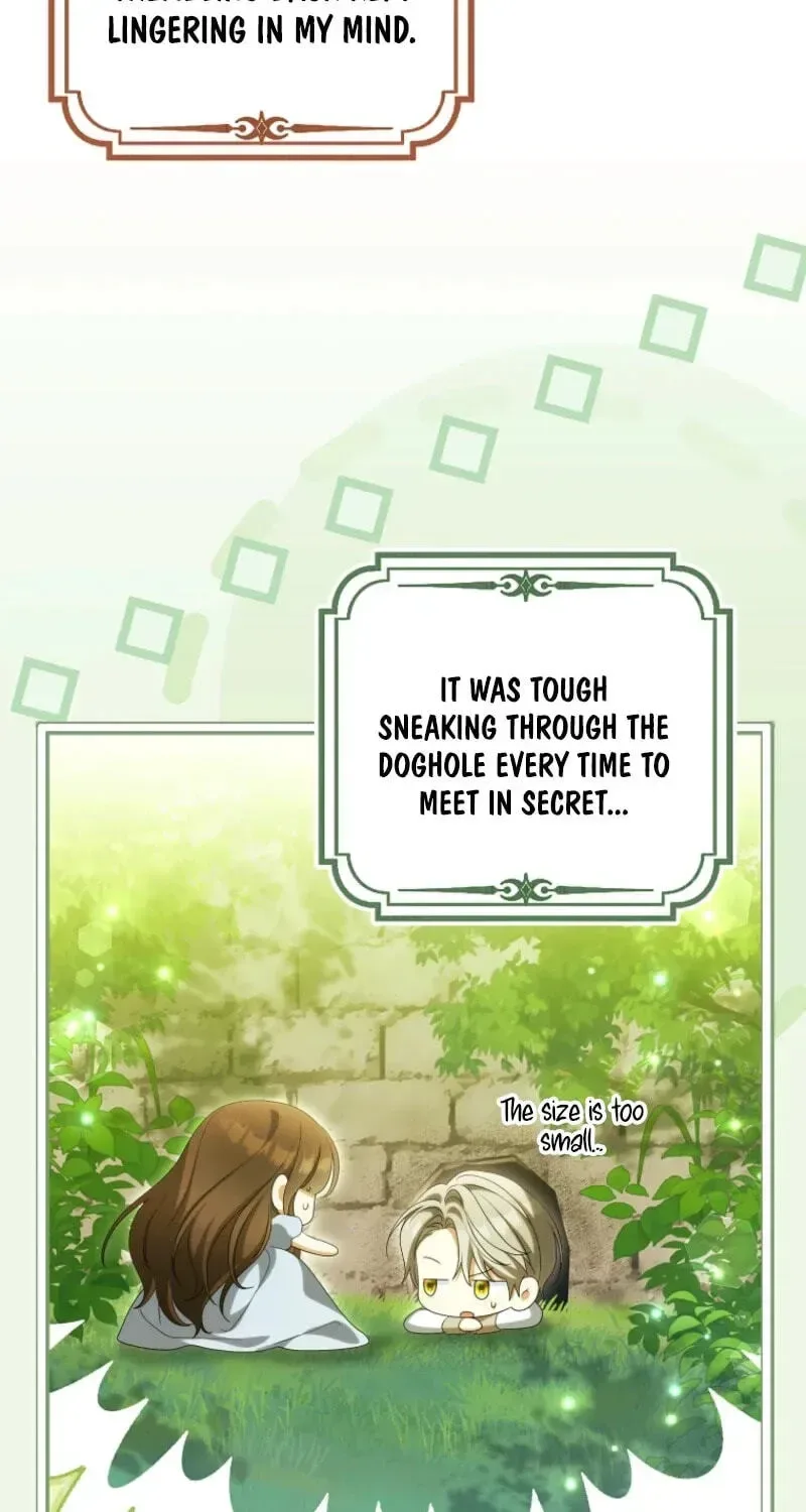 Why Are You Obsessed With Your Fake Wife? Chapter 105 page 87