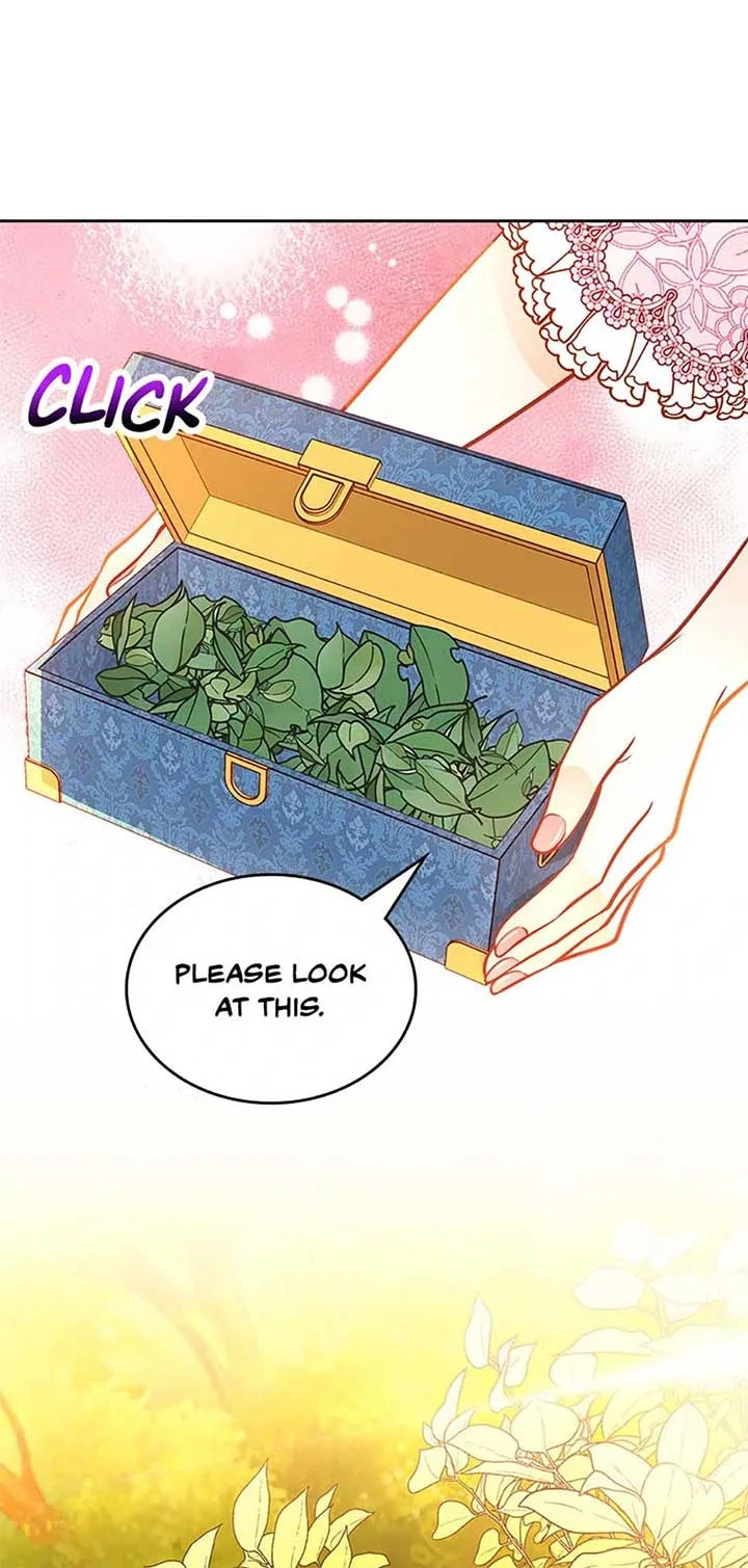 The Duchess’s Secret Dressing Room Chapter 108 page 33