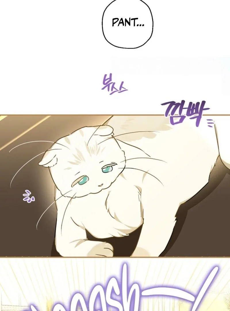 When The Count’s Illegitimate Daughter Gets Married Chapter 112 page 65