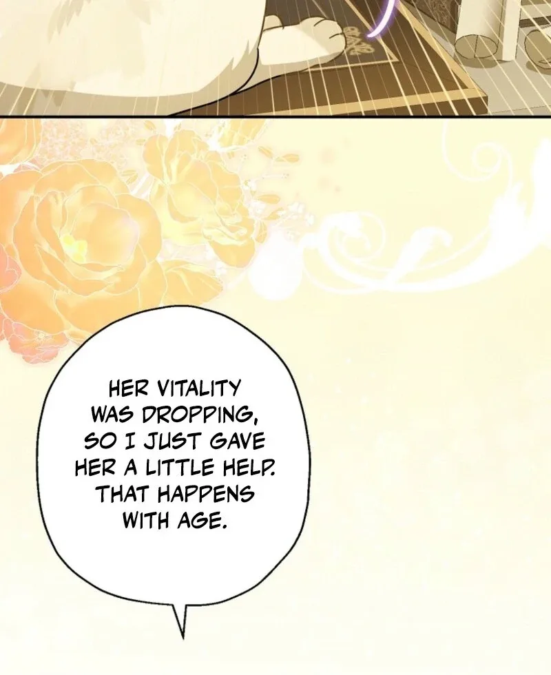 When The Count’s Illegitimate Daughter Gets Married Chapter 112 page 67