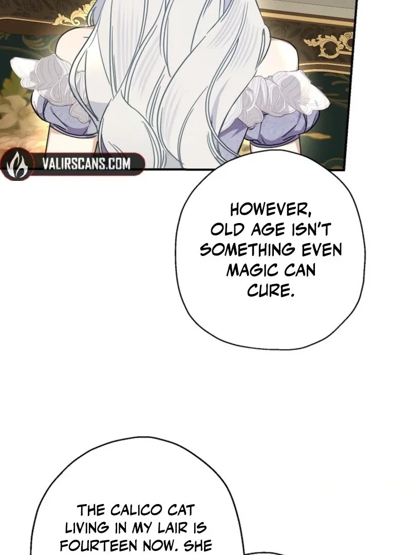 When The Count’s Illegitimate Daughter Gets Married Chapter 112 page 69