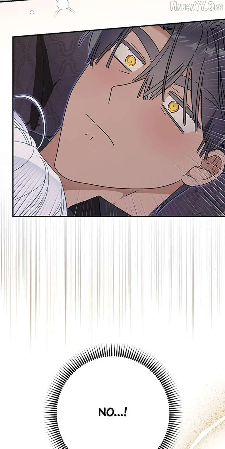 When The Count’s Illegitimate Daughter Gets Married Chapter 117 page 6