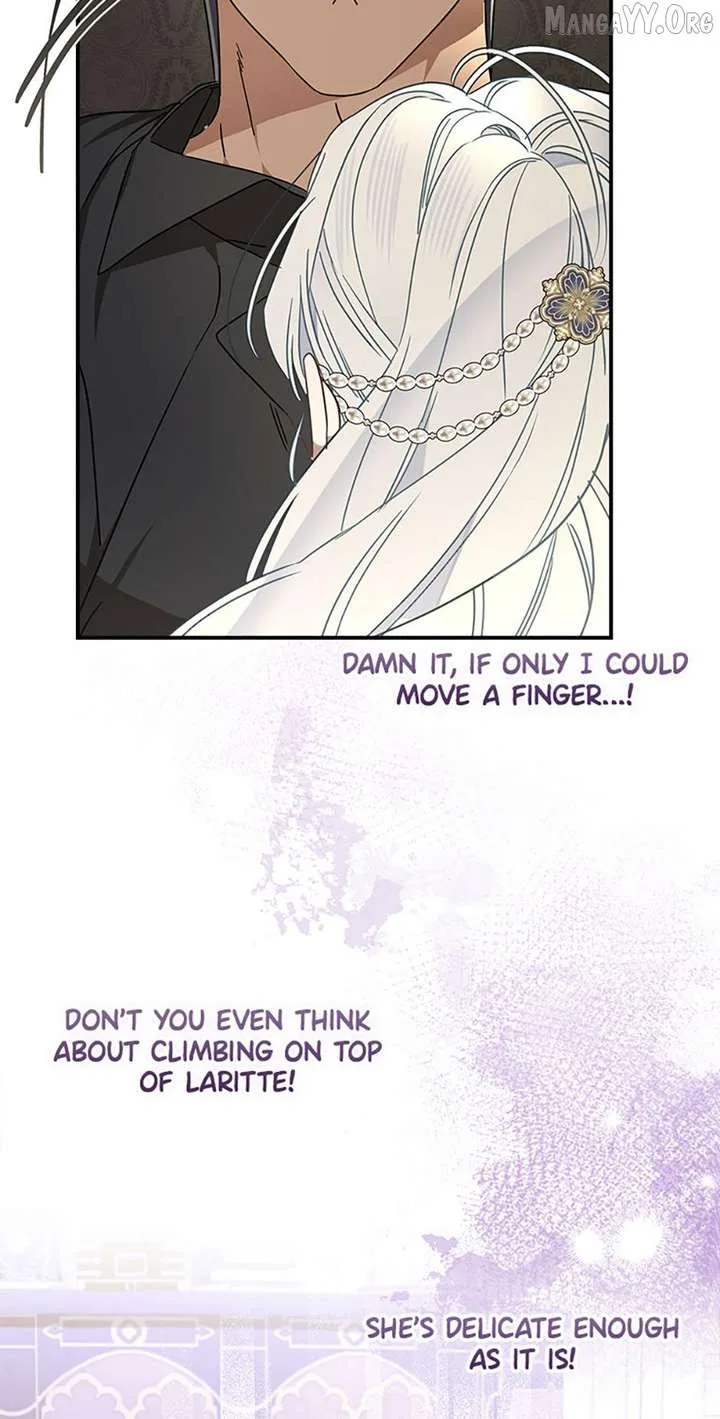 When The Count’s Illegitimate Daughter Gets Married Chapter 117 page 23