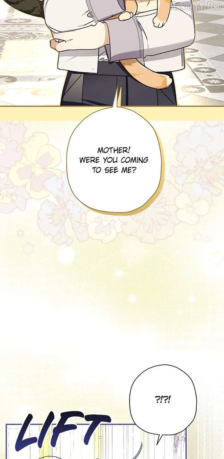 When The Count’s Illegitimate Daughter Gets Married Chapter 117 page 73