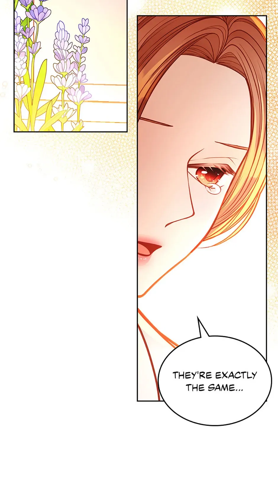 The Duchess’s Secret Dressing Room Chapter 125 page 78