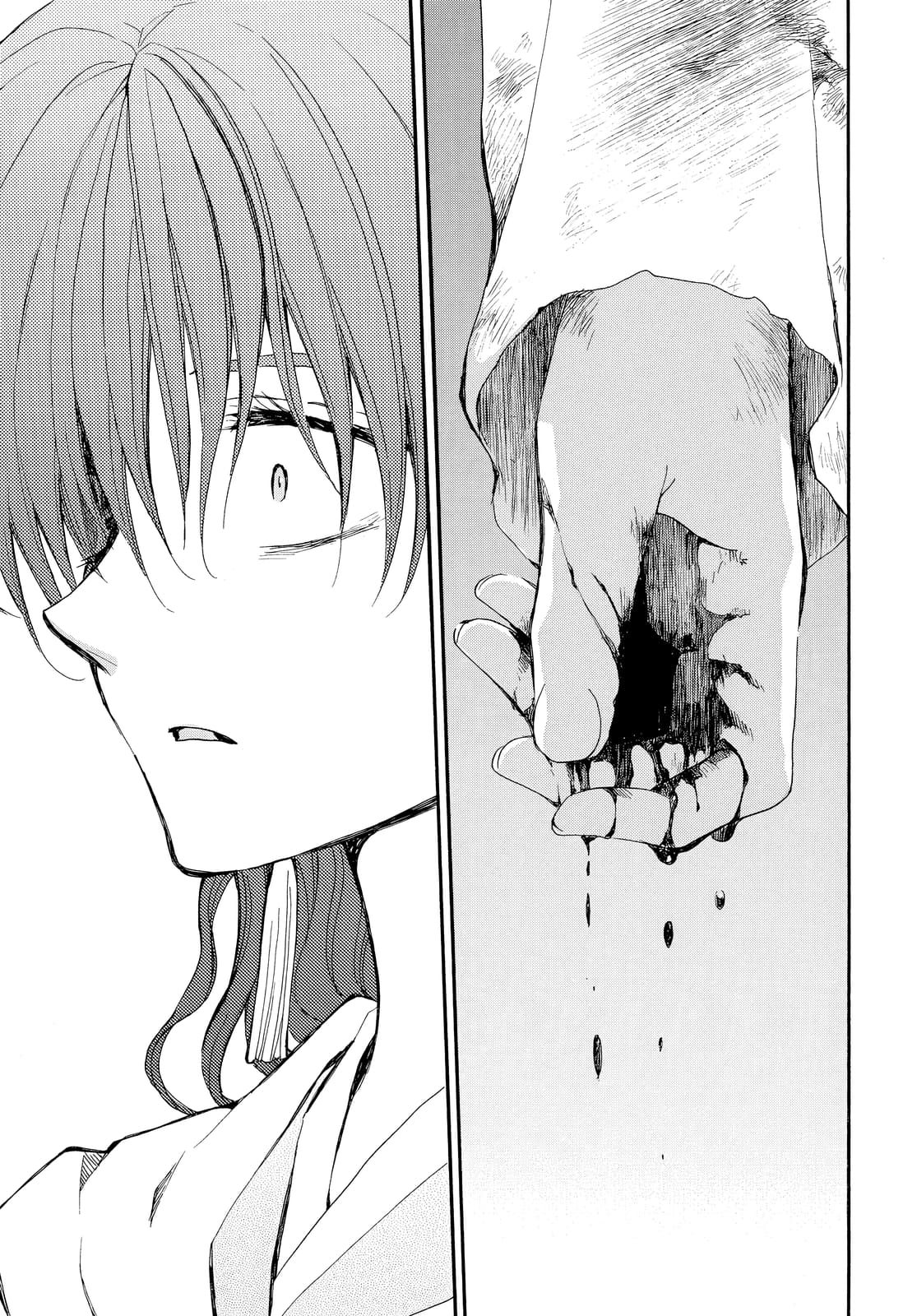 Akatsuki no Yona Chapter 260 page 17