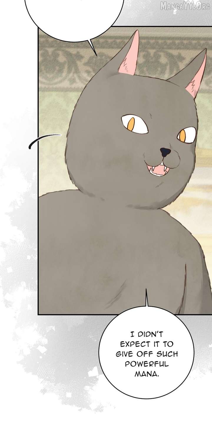 Alissa and the Magic Diary Chapter 33 page 78