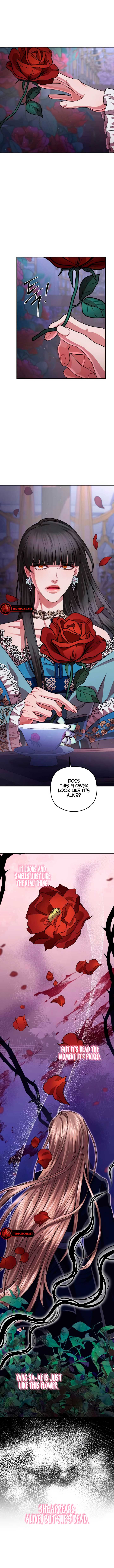 All About Dominative And Exclusive Destruction Chapter 40 page 6