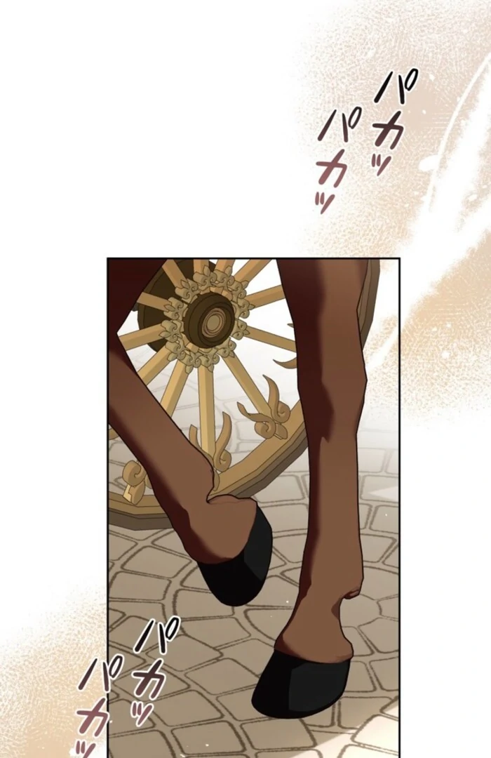 Although She is a Failed Princess, She is Loved by The Grand Duke in this Life Chapter 11 page 70