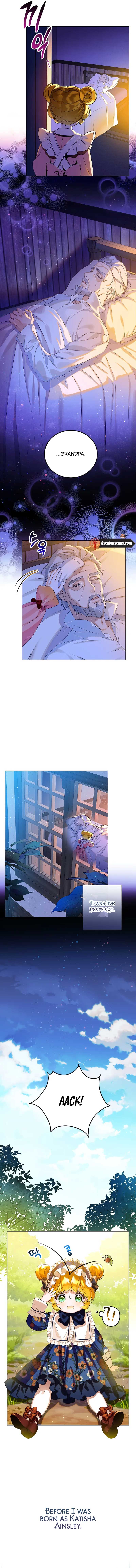 Am The Heiress Of The Villain Family Chapter 1 page 4