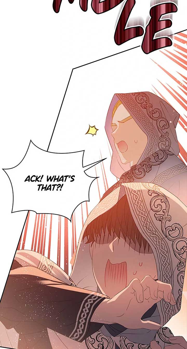 Am The Heiress Of The Villain Family Chapter 41 page 27