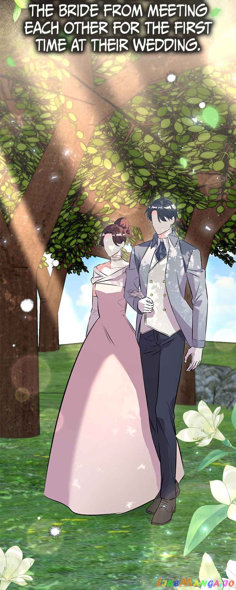 Amelia’s Contract Marriage Chapter 18 page 12