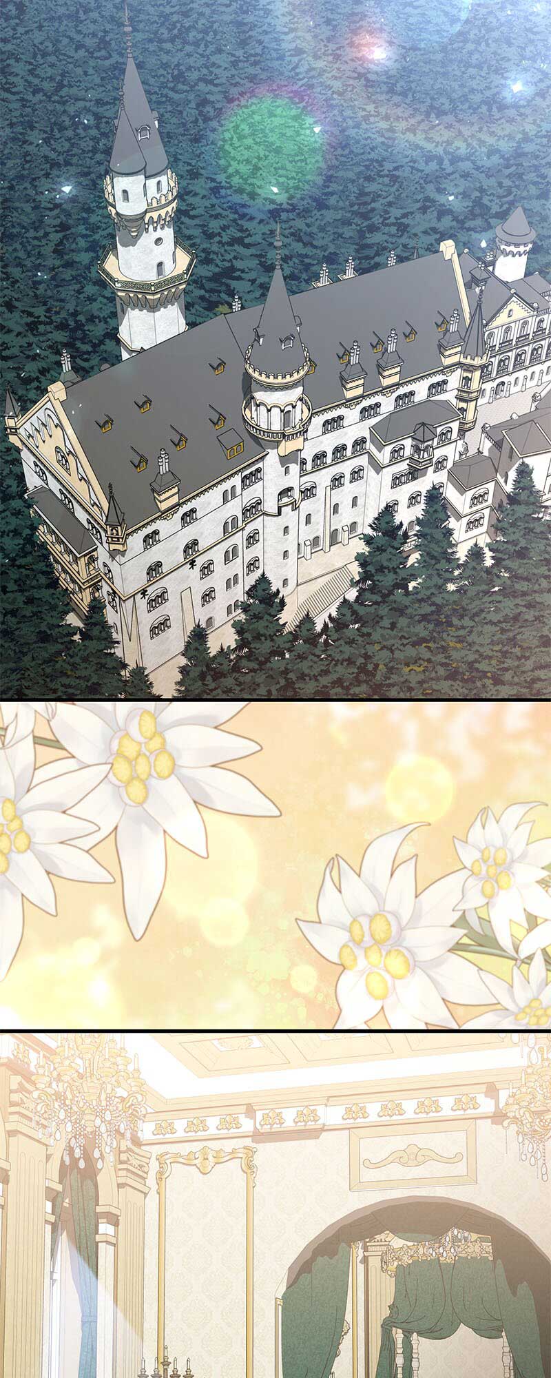 Amelia’s Contract Marriage Chapter 47 page 3