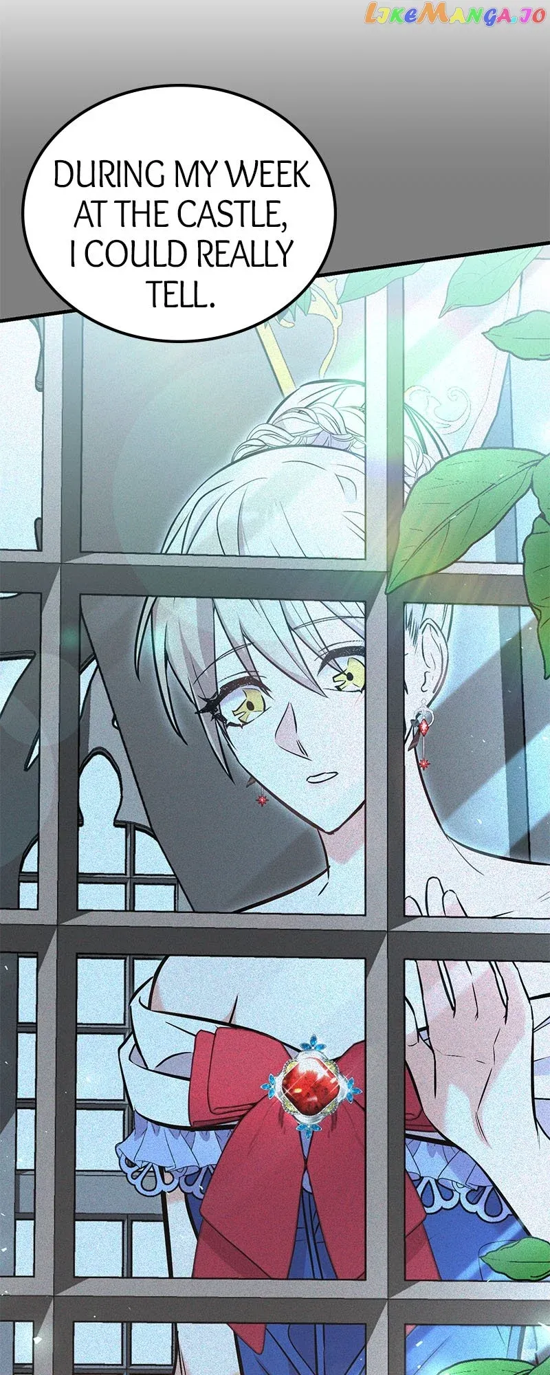 Amelia’s Contract Marriage Chapter 28 page 41
